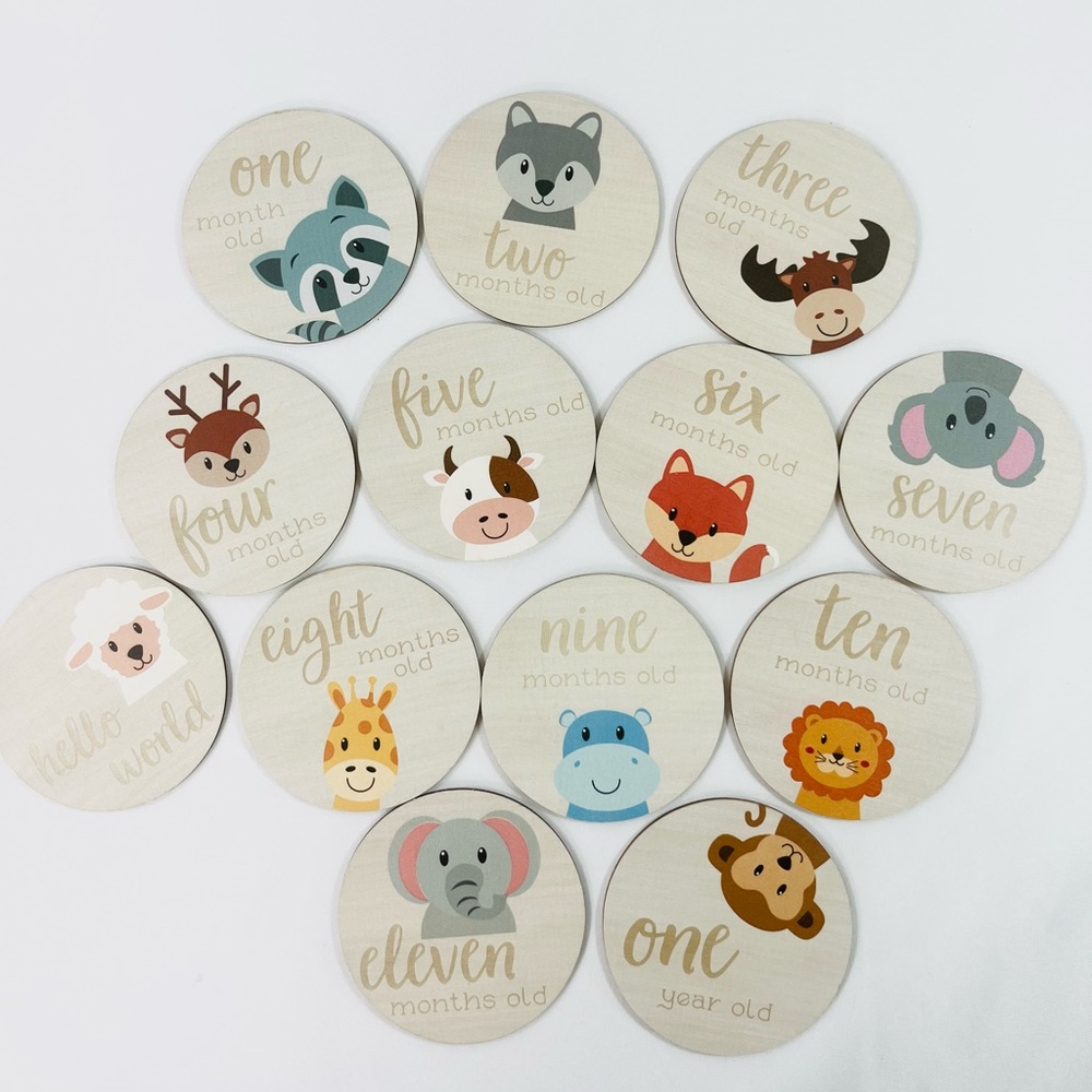 Baby Monthly Milestone Cards, Wooden Milestone Cards, Baby Photography Prop Card